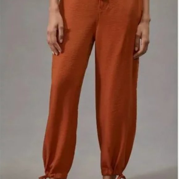 NWT-Anthropologie - Tiny Heidi Pants - Size XL - Picture 2 of 10